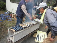 秋のなでしこ祭り