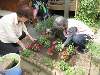 梅雨時期の晴れ間は