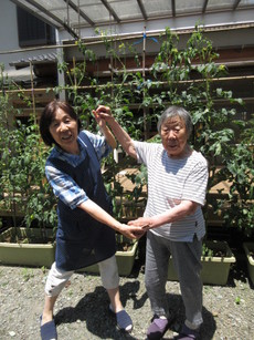 涼風を求めて