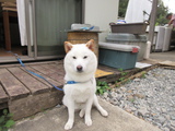 みんなで手仕事