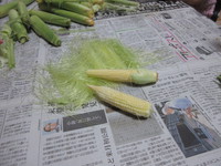 こんにゃくの世代間相違？