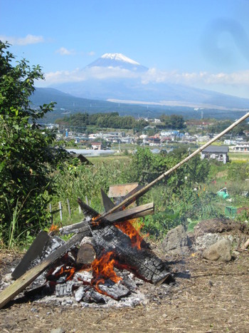 安納芋の焼き芋