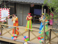 秋のなでしこ祭り