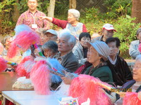 なでしこ祭り