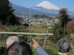 今年もお世話になりました、来年もよろしくお願いします。