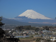 今年もお世話になりました、来年もよろしくお願いします。