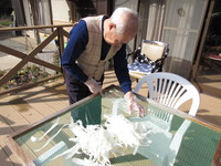 寒中お見舞い申し上げます。