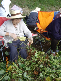 明日はなでしこ祭り、、、母さん走ります。
