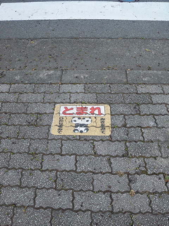 おはようございます