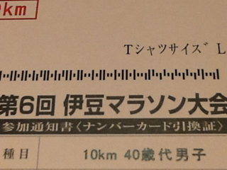 明日はどうするか？