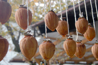 2007年12月26日