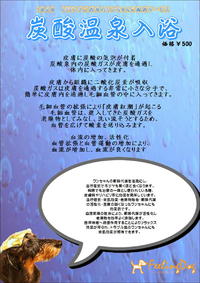炭酸温泉入浴サービス
