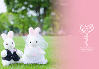 桜のロケ写真が入った結婚式パンフレット