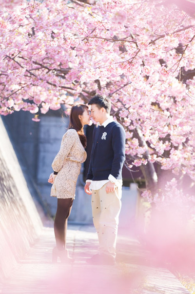 恋人、桜の木の下で…
