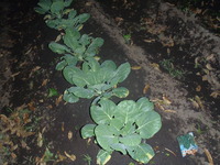 2011年10月12日