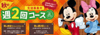 今週木曜日１７時からECC説明会＆プチ体験レッスン！プレゼントもありますよ♪♪　富士市　英語英会話教室