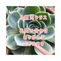 7月〜　夏のコース　はじまります。　　富士市ECC広見教室