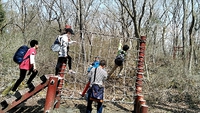 桜を観に行こう