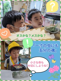 『急がば回れ』　寄り道を楽しもう♪ 2023/09/07 18:43:48