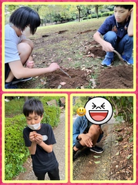 10/11（水） たくさん遊ぼう！スペシャル公園day！ 2023/10/11 18:05:37