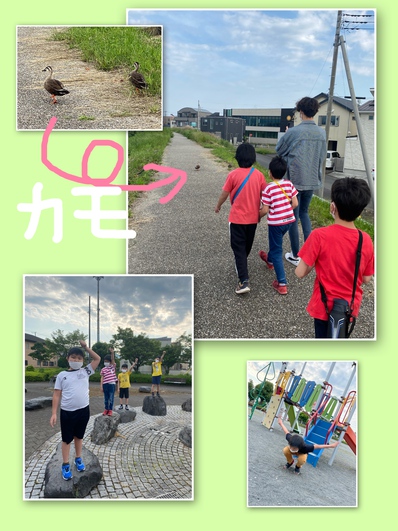 公園day