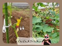 ちょっとずつ育ってる？！ 2023/05/19 18:03:07