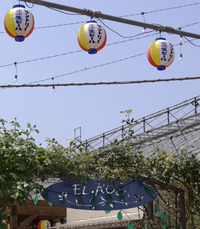 夏も本番！