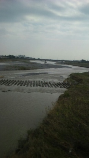 酒匂川