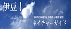 伊豆ネイチャーガイドの独り言