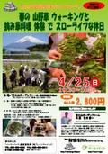 春の山野草ウォーキングと摘み草料理体験でスローライフな休日