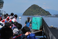 焼津水産高校が内浦湾でアジの養殖を学ぶ漁業実習