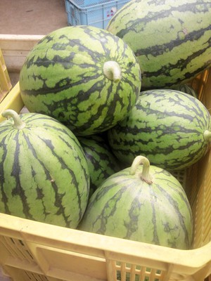 親父の趣味　その3