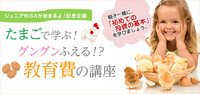 宿題やっています！
