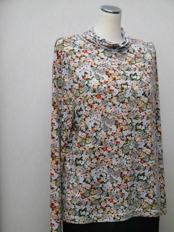 Ｔシャツ