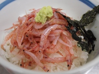 ♪おいしい生活♪　桜えび