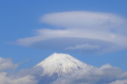 大きな二重笠