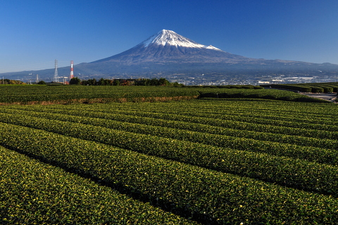 冬の始まりの富士山