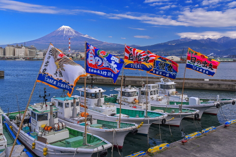 漁船に掲げられた大漁旗 富士旬景