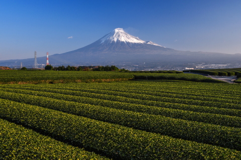 やや霞み模様の富士山