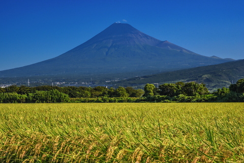 暑さの中にも秋の気配