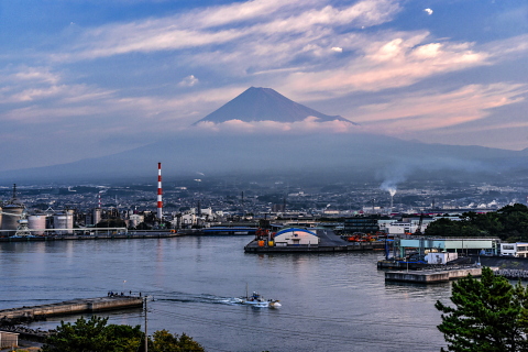 港からの今朝の富士山