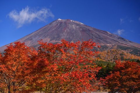 西臼塚の紅葉