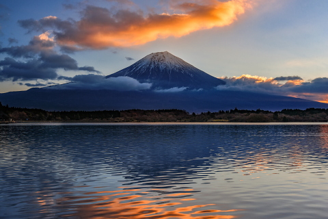 富士山上空に朝焼け雲出現！