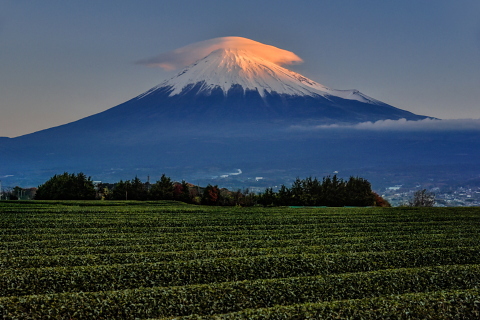 薄紅色の笠雲富士