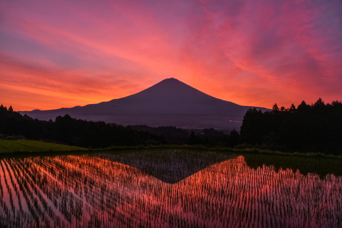 里山の水田からの素晴らしい朝焼け！
