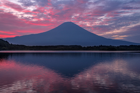 鱗状の朝焼け雲