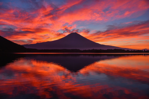 強烈な田貫湖朝焼け富士山！