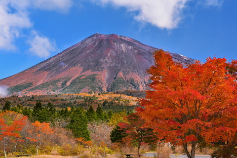 西臼塚の紅葉