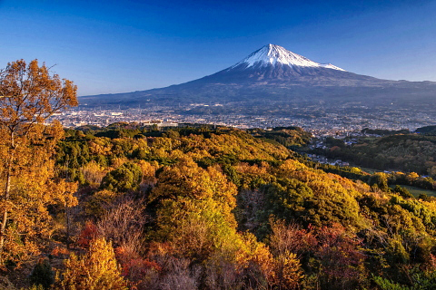 明星山の紅葉と富士山