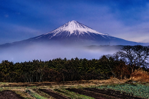 霧流れる里山と富士山